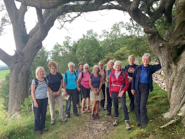 Walking group between two trees