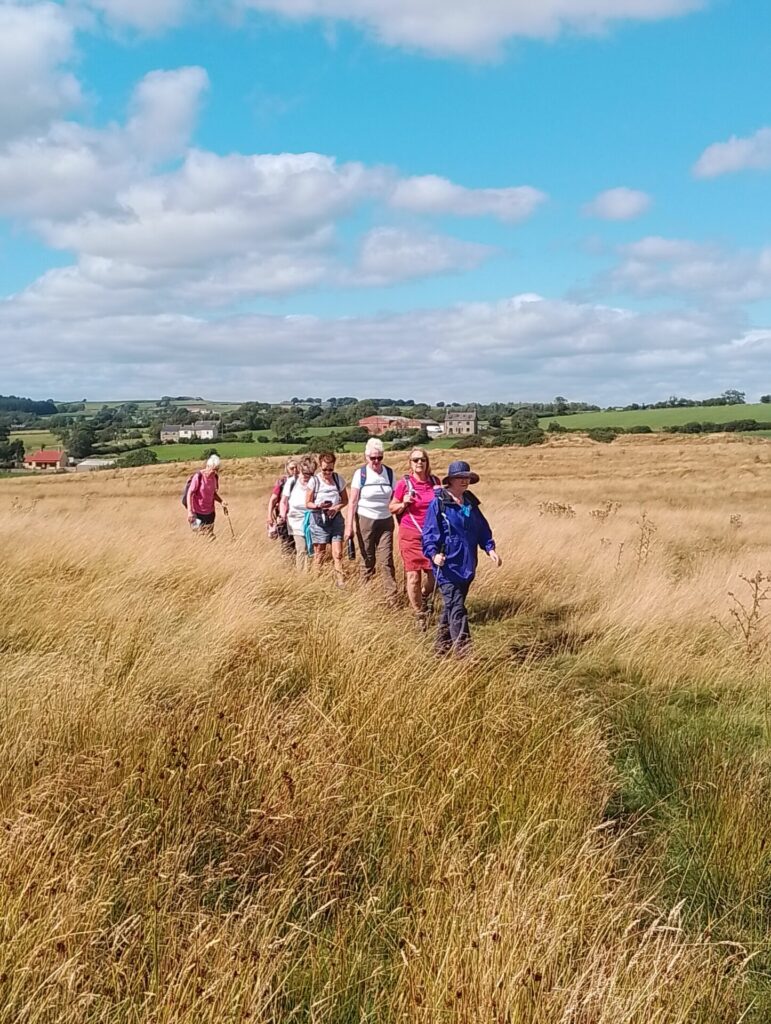 Walkers in field near Cockfield